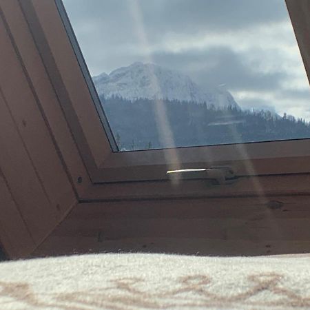 Ski Tour Apartments Zakopane Eksteriør billede