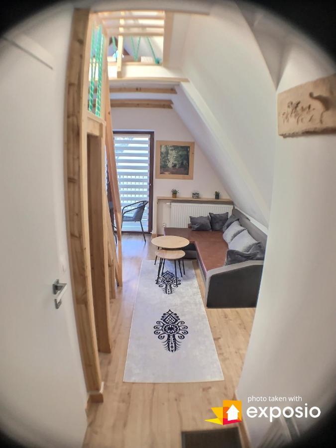 Ski Tour Apartments Zakopane Eksteriør billede